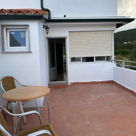 With Terrace Near The Apartment